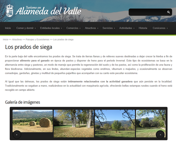 Web de Alameda del Valle
